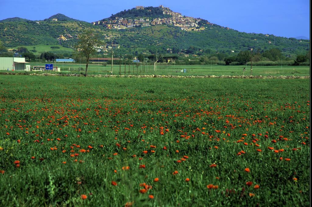 Agri Domus Διαμέρισμα Guidonia Εξωτερικό φωτογραφία